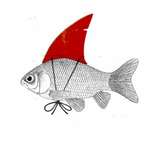 Swimming with sharks can be dangerous unless you look like one